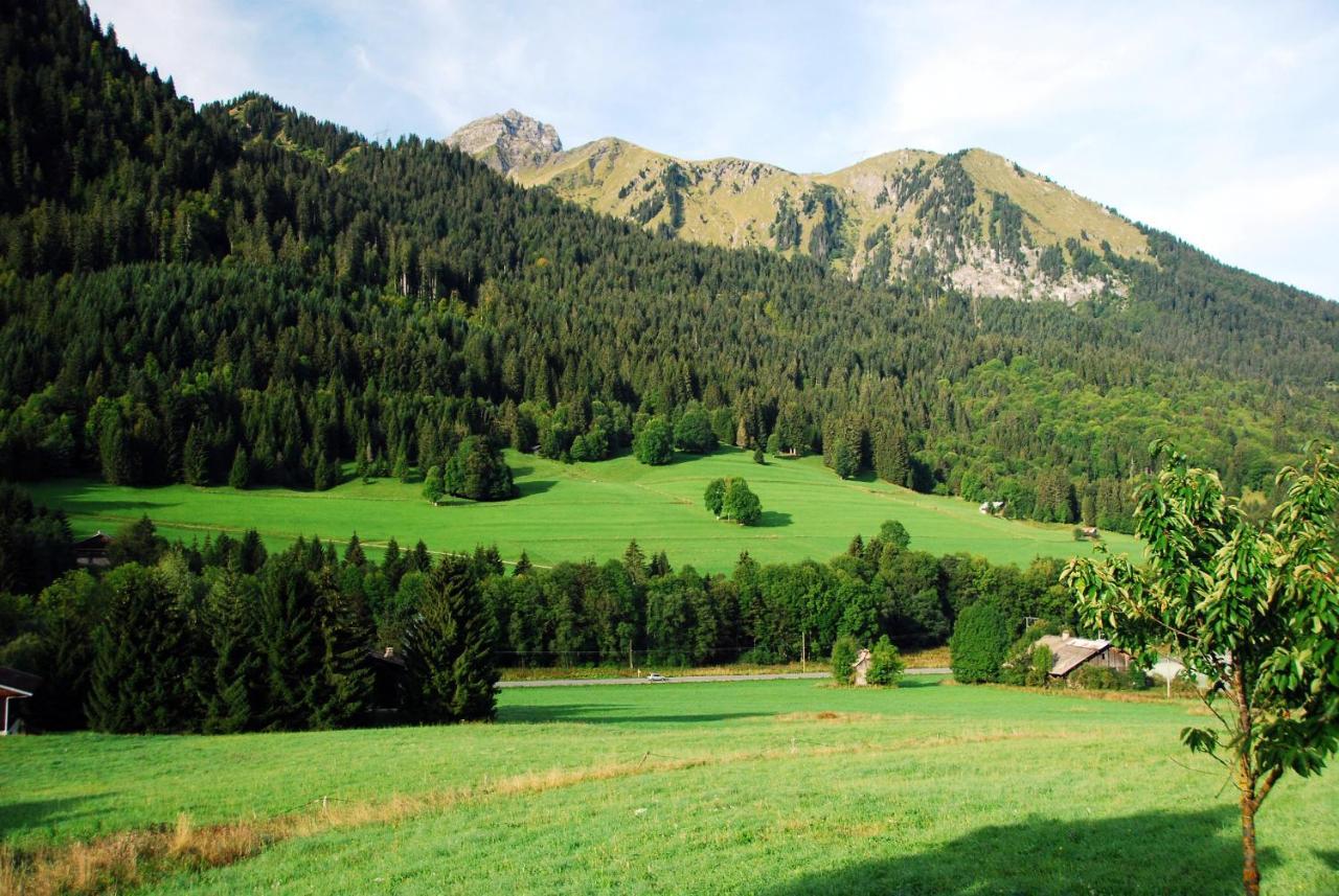 Chalet Cannelle Châtel Dış mekan fotoğraf