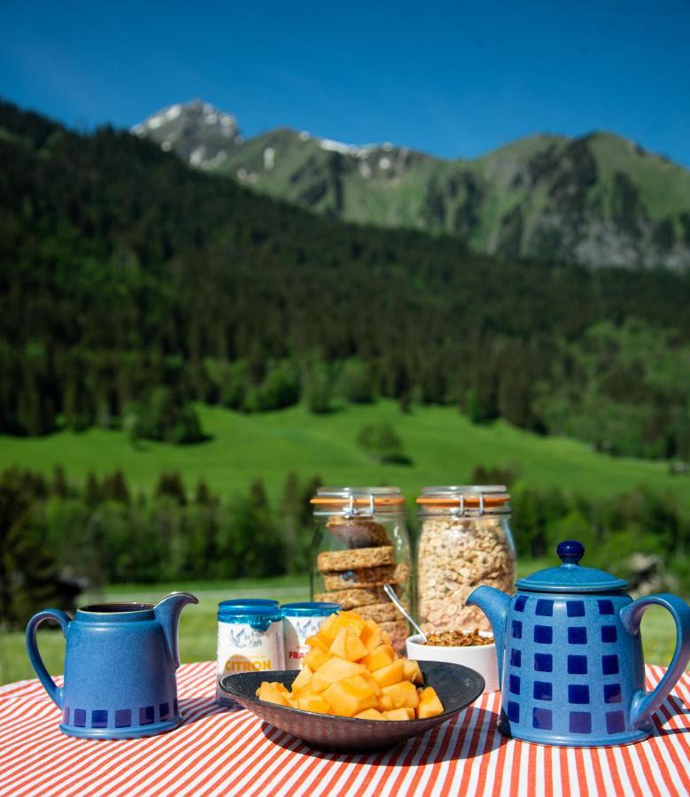 Chalet Cannelle Châtel Dış mekan fotoğraf