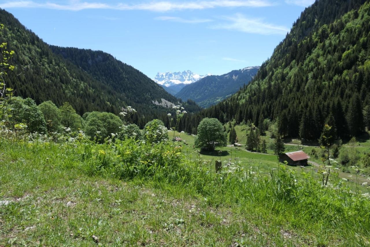 Chalet Cannelle Châtel Dış mekan fotoğraf