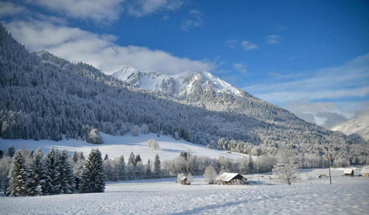 Chalet Cannelle Châtel Dış mekan fotoğraf
