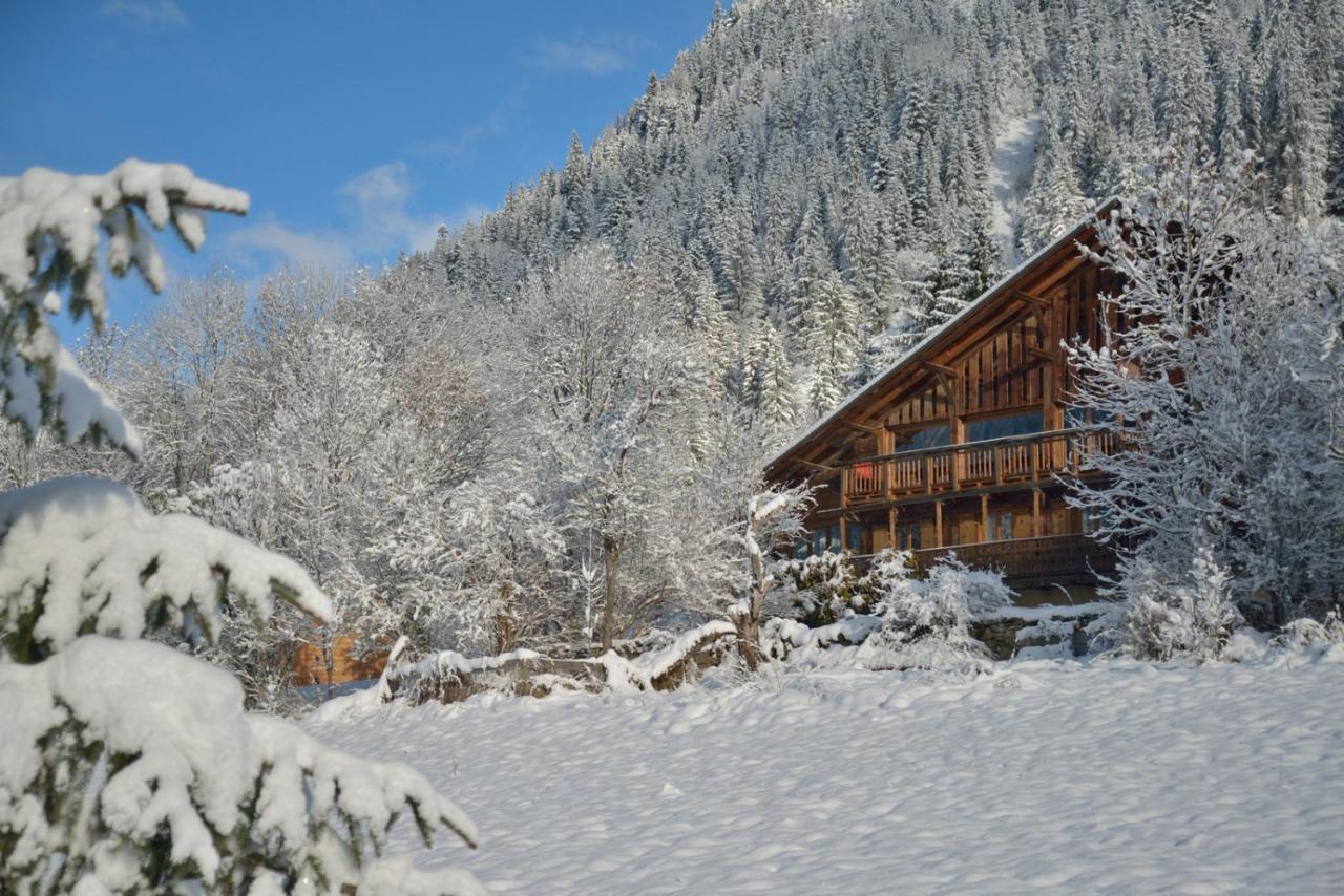 Chalet Cannelle Châtel Dış mekan fotoğraf