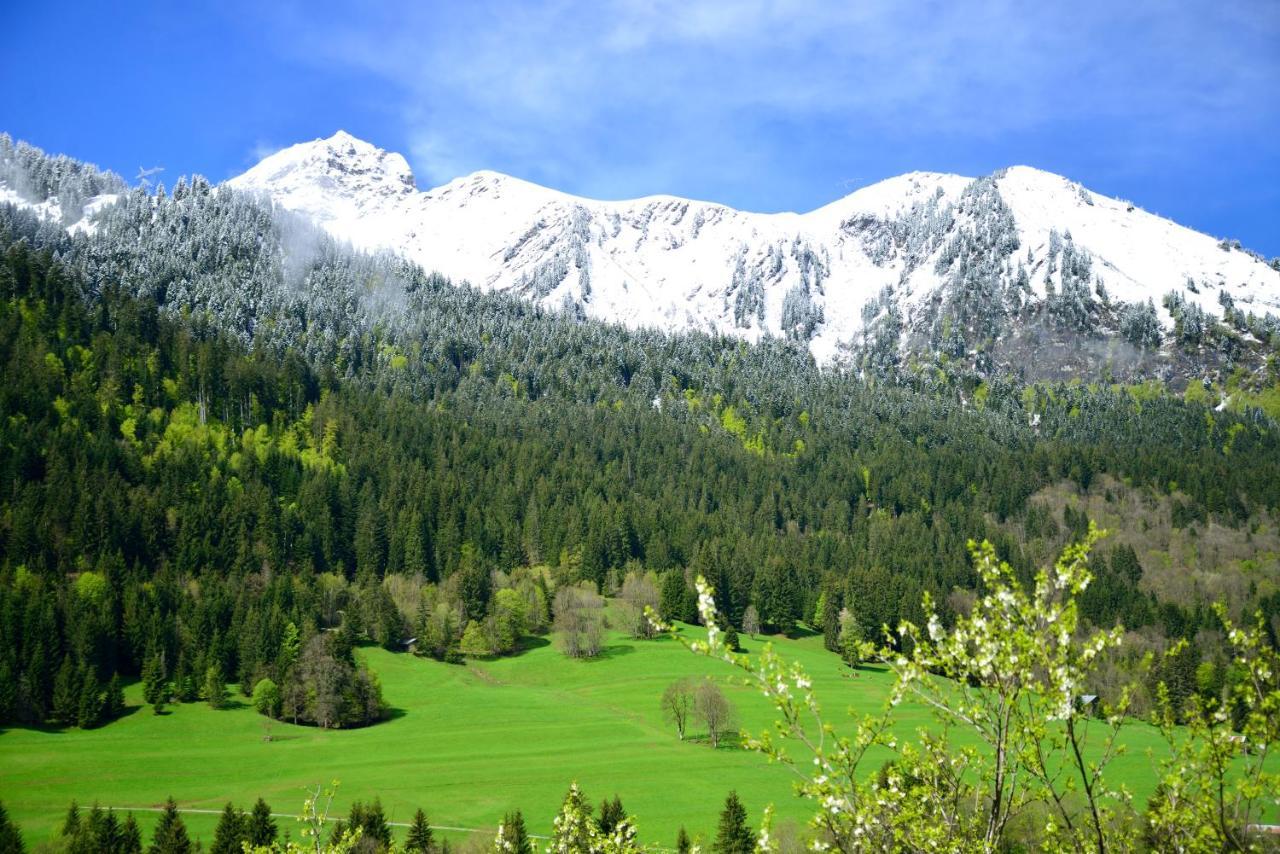 Chalet Cannelle Châtel Dış mekan fotoğraf