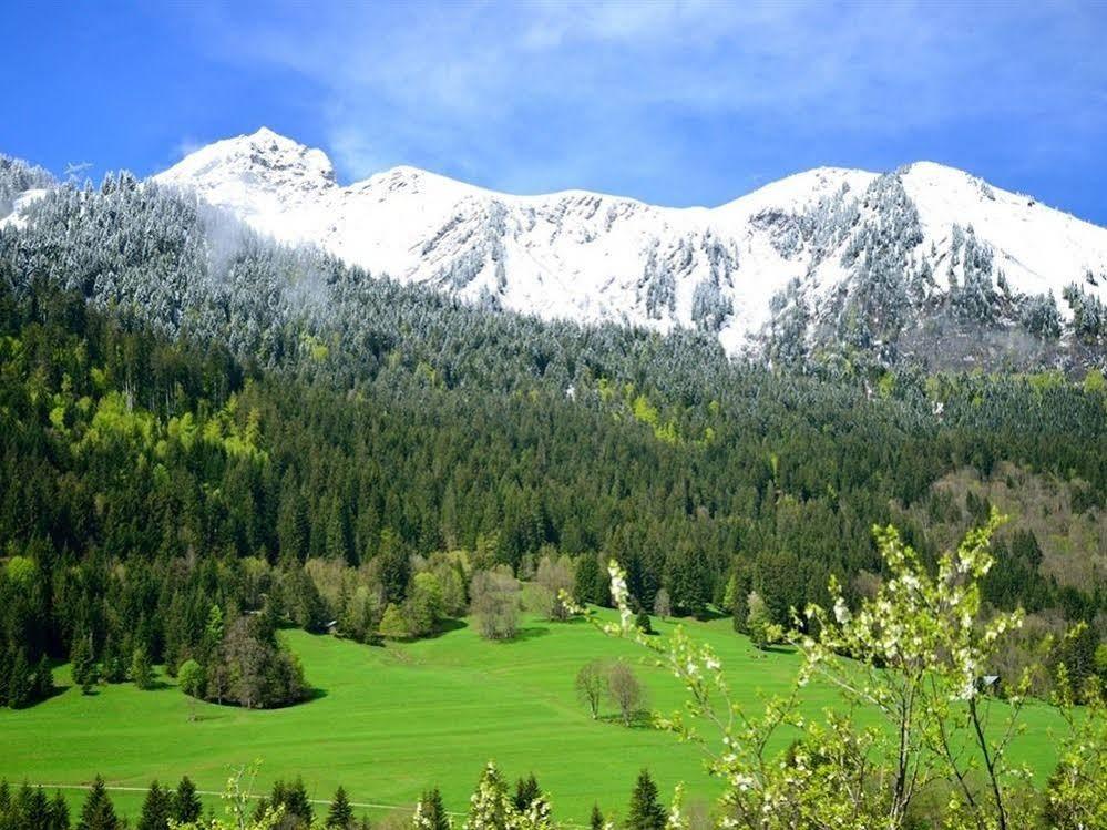 Chalet Cannelle Châtel Dış mekan fotoğraf