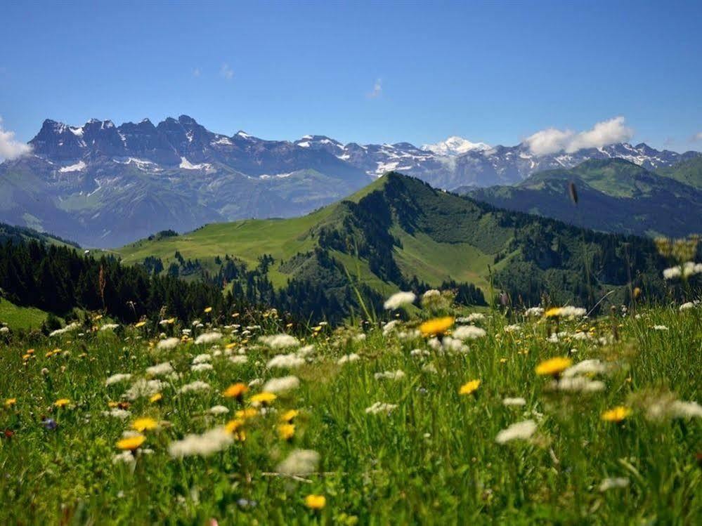 Chalet Cannelle Châtel Dış mekan fotoğraf